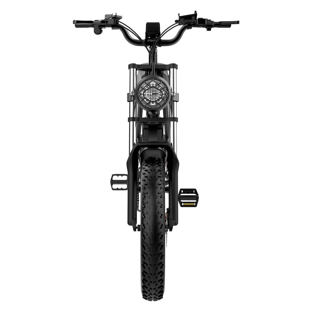 Ridstar Q20 48V 1000W 20AH Bike eléctrico