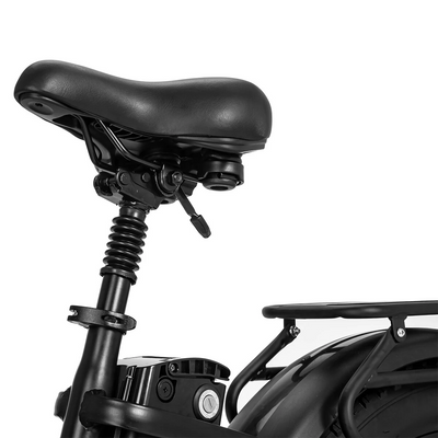 Ridstar MN-26 48V 1500W 20Ah Electric Bike