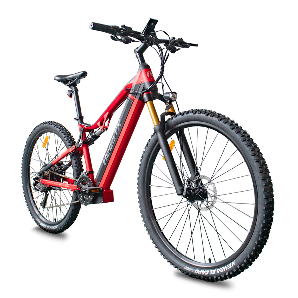 Hedatx TX19 29‘’ 48V 1000W 19.2Ah Electric Bike