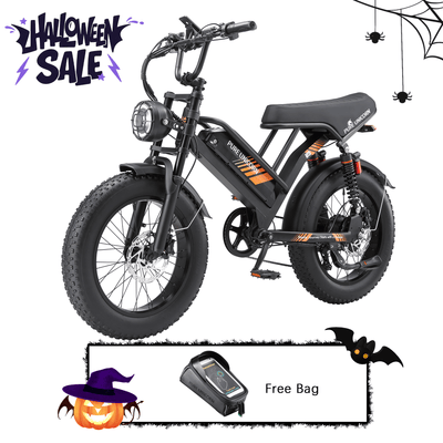 PURE UNICORN U5 Moped E-Bike 1000W 19,2Ah