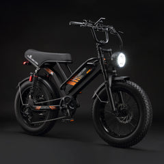 PURE UNICORN U5 Moped E-Bike 1000W 19.2Ah – Limited Free Gifts